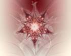 flower.jpg