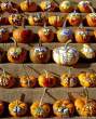 Pumpkins_.jpg
