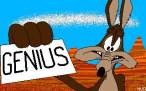 COYOTE.JPG