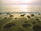 strand_800.jpg