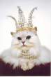 queen.jpg