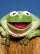 kermit.jpg