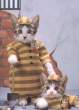 jailbreakcats8gu.jpg