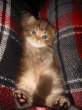 cutestlittlething0an.jpg