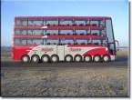 Bus.jpg