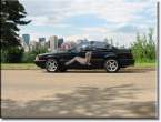 Mustang--Mach-II.jpg
