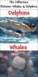 The Difference Between Dolphins And Whales.jpg