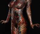 Tony Rice's Painted Shadows 5.jpg