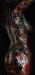 Tony Rice's Painted Shadows 6.jpg