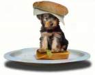 sandwich.jpg