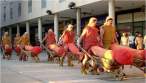 wheel barrow big, thats how big.jpg