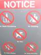 No scooter-blading or study-skating either.jpg