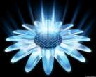 andidasa_flower_power.jpg