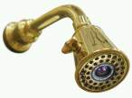 try to avoid taking a shower with one of these things.jpg