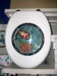 Toilet seat.jpg