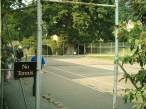 No Tennis.jpg