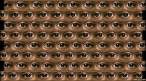 Eyes.jpg