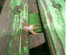 Snail gymnast [extra] 07.jpg