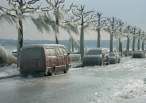 Winter Wonderland.jpg