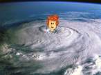 Wilma.jpg