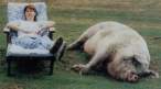 chillin2.jpg