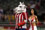The new mascot.jpg