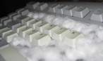 keyboard_n_ganga_2.jpg