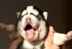 Can it be cuter.jpg