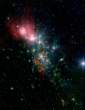 cosmos_4.jpg