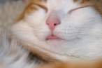 Tired.jpg