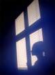 DSC07647.jpg