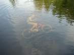 Biker.jpg