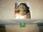 Yaddle.jpg