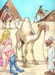 Camel.jpg
