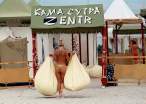 Entering the Kamasutra.jpg