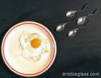 egg.jpg