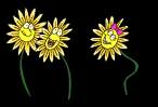 les_3_marguerites_qui_dansent.gif