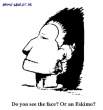 face-or-eskimo?.jpg