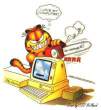Garfield.jpg