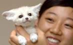 Kitty.jpg