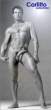 STALONE.jpg