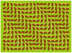 trippy.gif