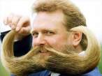 Mustaches.jpg
