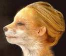 Foxy Lady.jpg