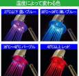 Neon Showerheads.jpg