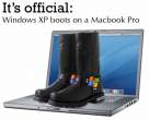 Windows XP boots.jpg