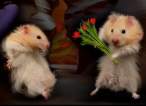 These are for you.jpg