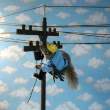 Electrician.jpg