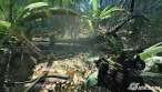 crysis6.jpg