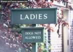 ladies.jpg